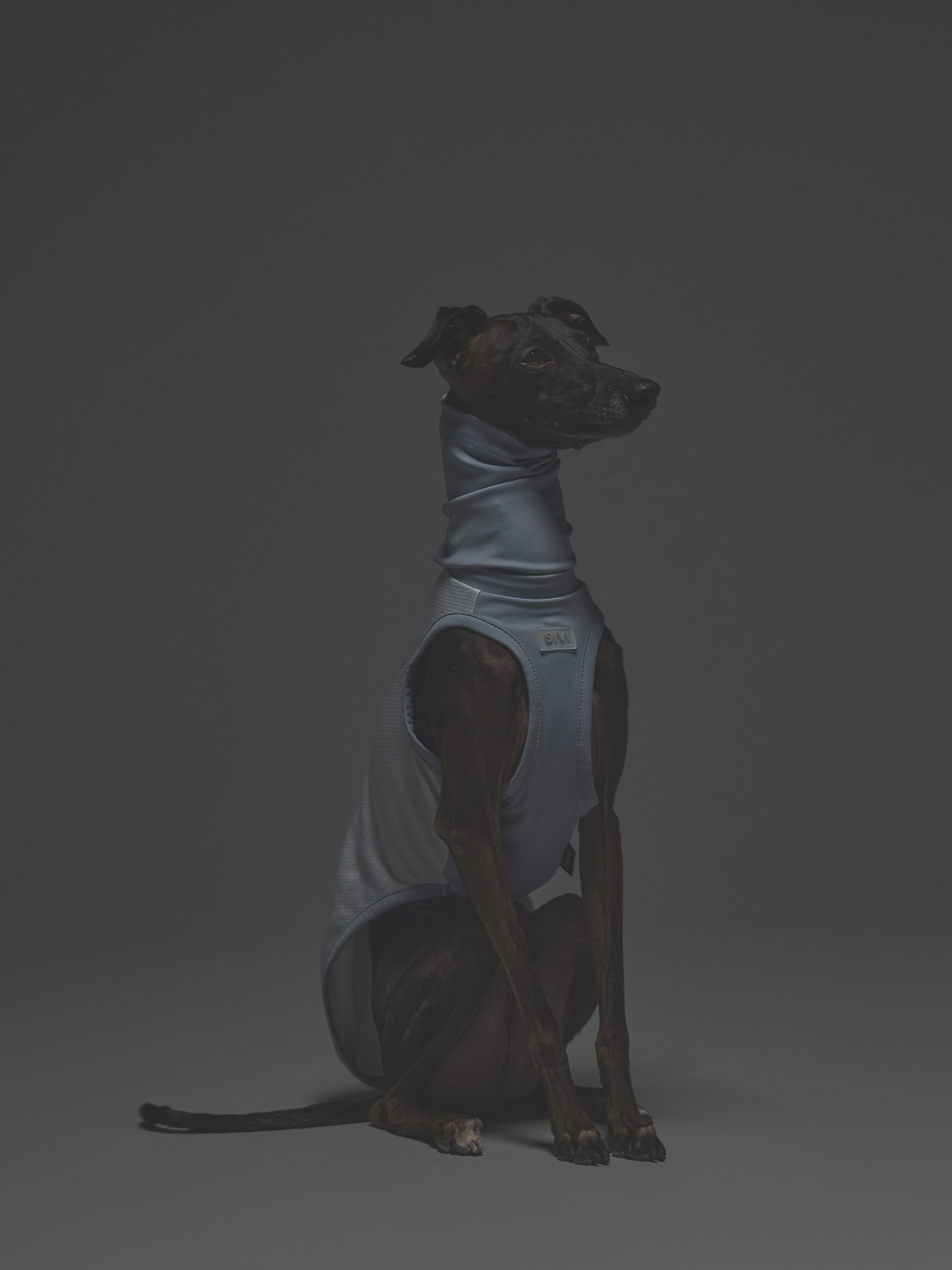 COOL+MOSCAPE ATHLETE TANK / SHADOW BLUE