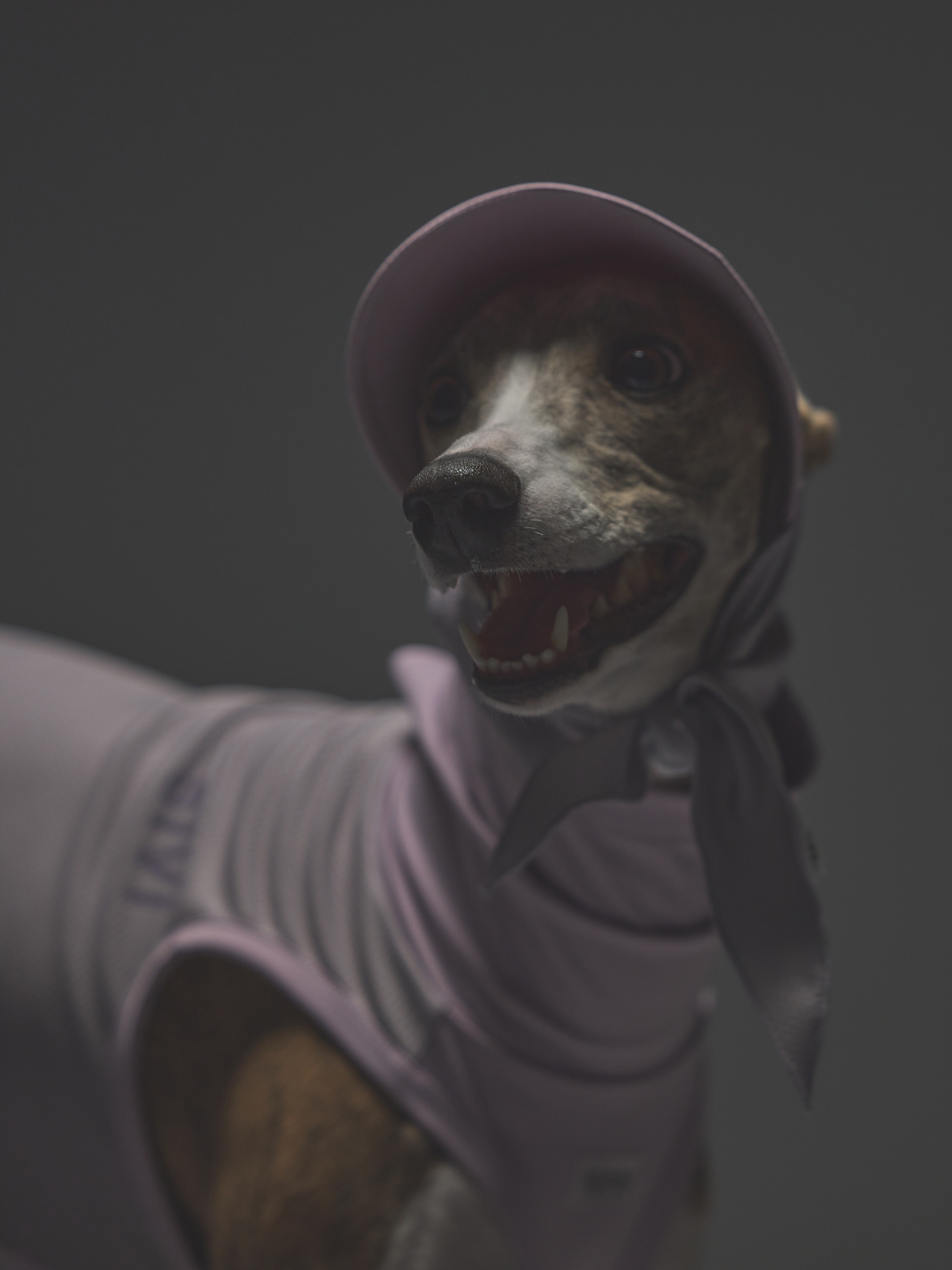 COOL+MOSCAPE BANDANA CAP / LILAC