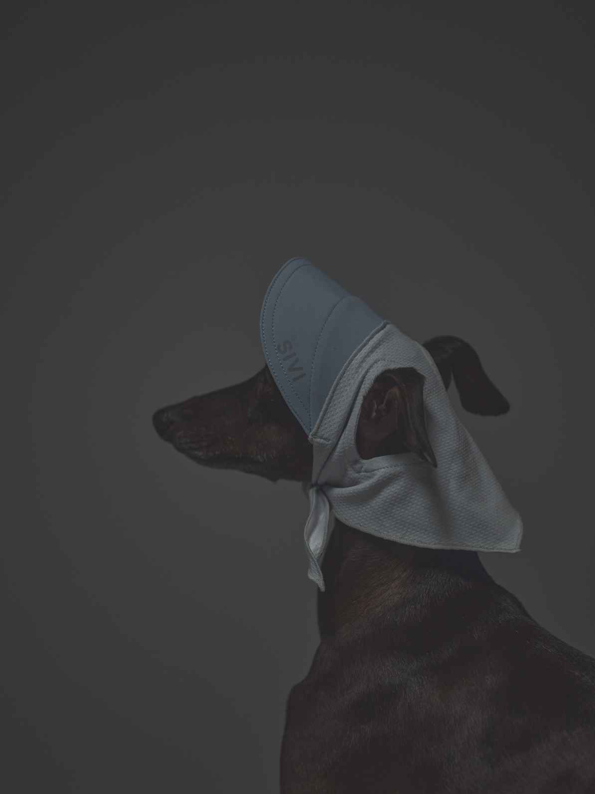 COOL+MOSCAPE BANDANA CAP / SHADOW BLUE