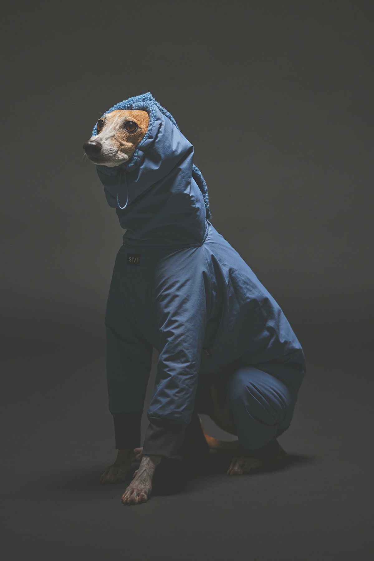 【美品】SIVIウィンタースーツ【XS】 SIVI ウィンタースーツ｜撥水・防水 | SIVI｜イタグレ 服・ウィペット