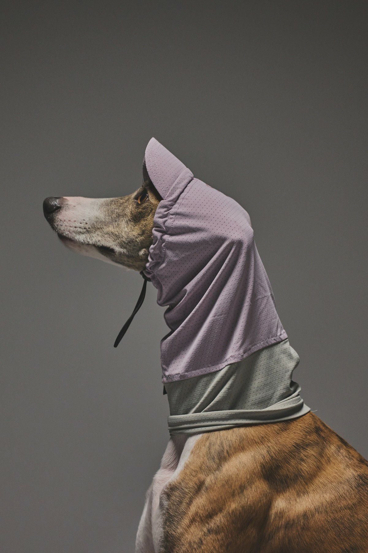 SIVI 犬用ウィンタースーツ　Lサイズ SIVI 犬用ウィンタースーツ Lサイズ