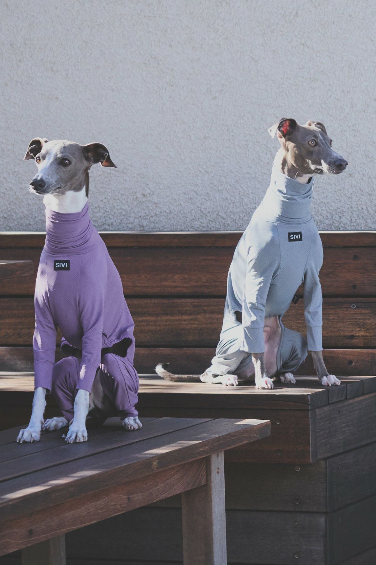 SIVI 犬用ウィンタースーツ　Lサイズ ウィペット、イタグレ向けのドッグウェアブランド【SIVI（シヴィ