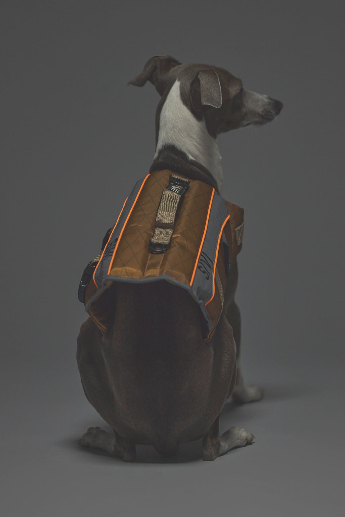 Sサイズ着用： イタリアングレーハウンド 体重5.5kg・首囲25cm・胸囲46cm・背丈38cm