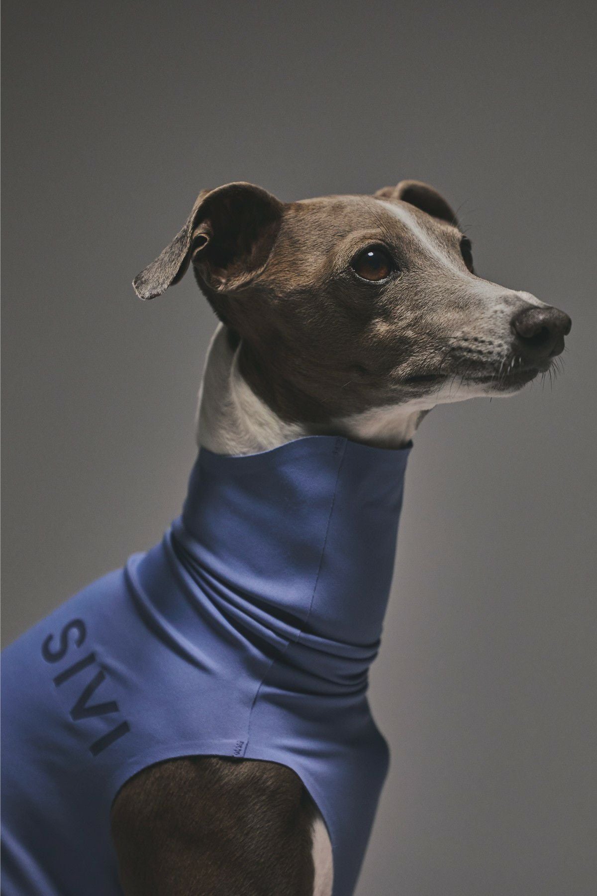 sivi ウインタースーツ　シナモン　フリース裏地付き犬服 イタグレ　S SIVI ZEROSEAM無縫製タンク