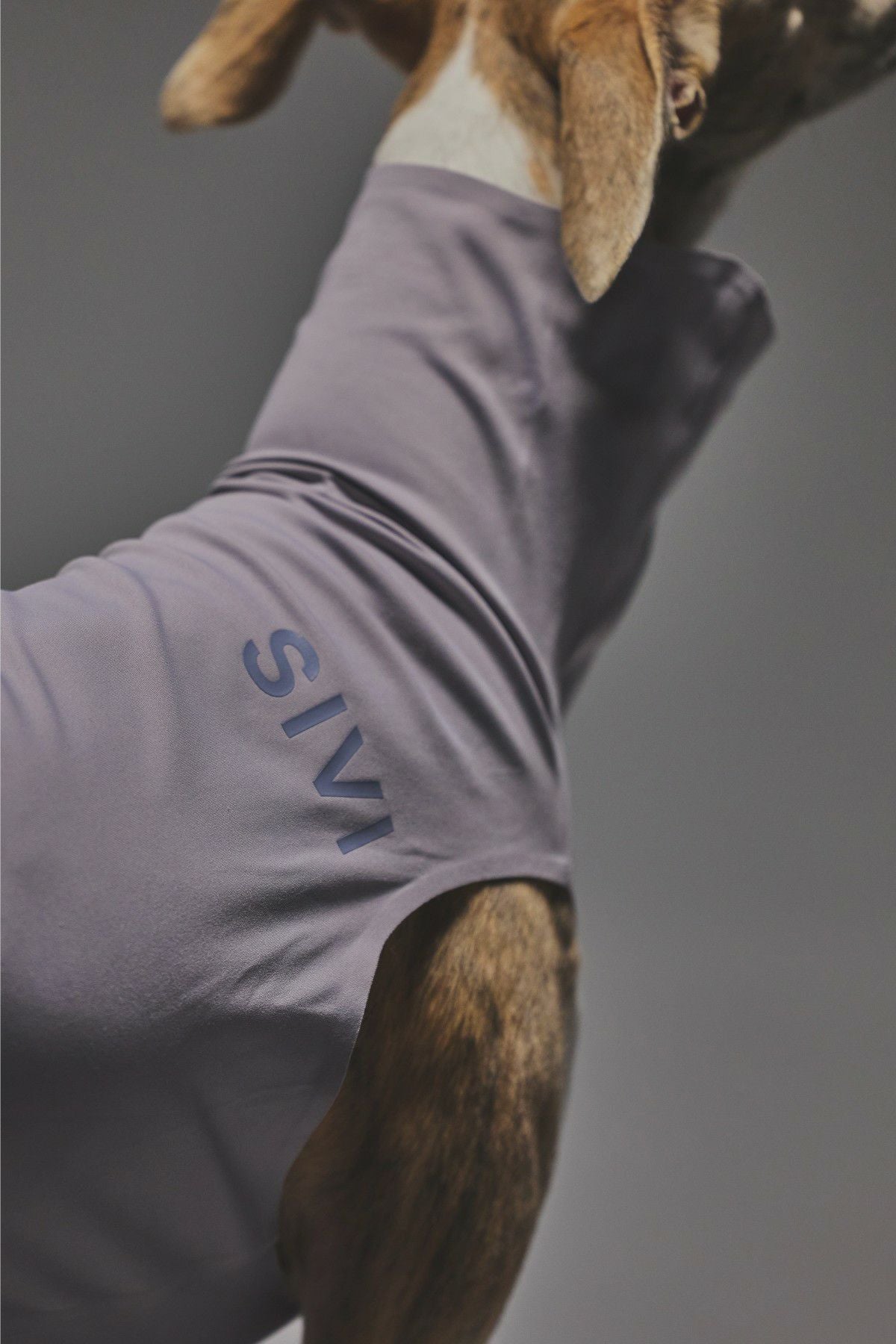 犬服♡ ガムガム SIVI ZEROSEAM無縫製タンク