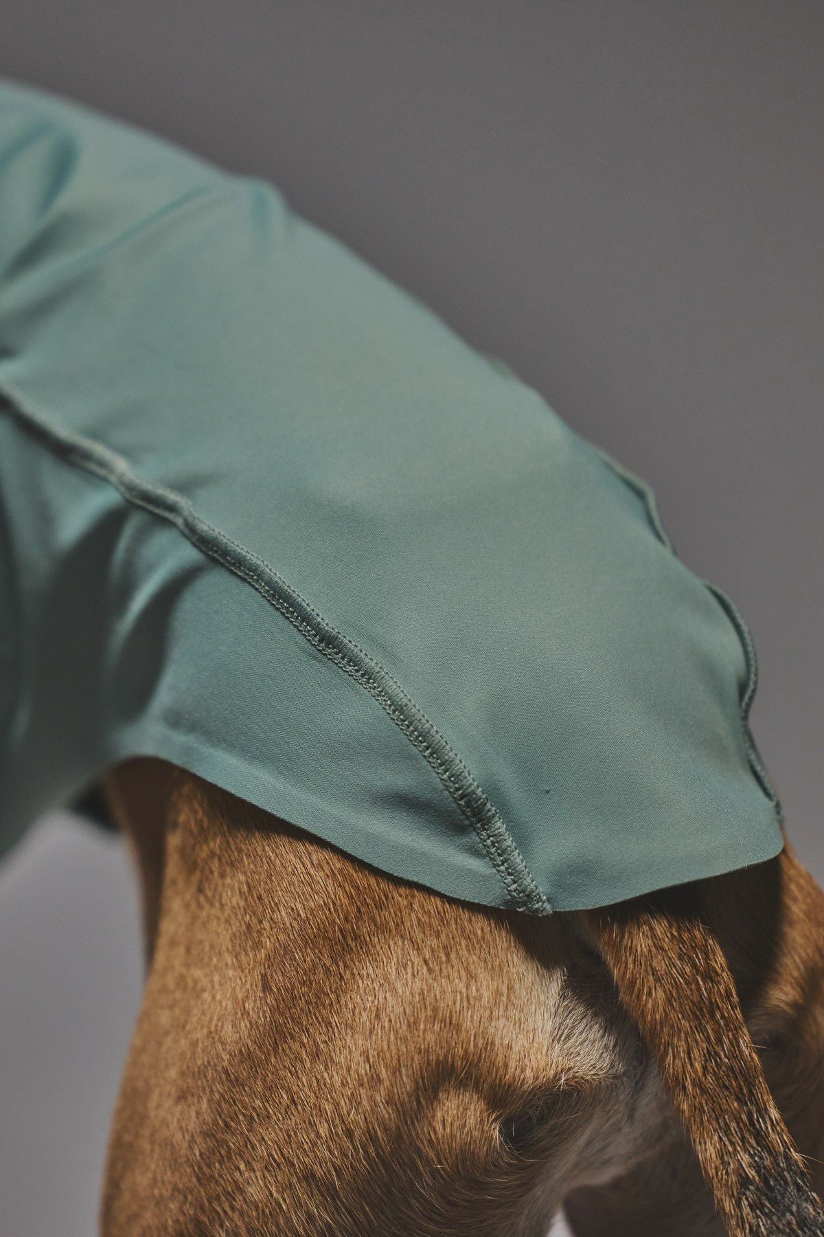 SIVI ZEROSEAM無縫製タンク×UNAGE体幹安定