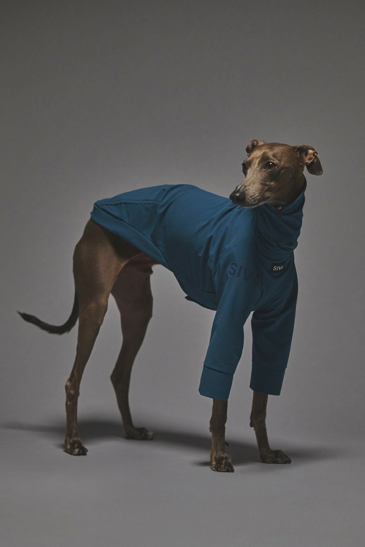 SIVI SOLOTEXスヌードTシャツ 撥水防汚