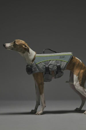 Lサイズ着用： ウィペット 体重12.5kg・首囲33.5cm・胸囲56cm・背丈54cm