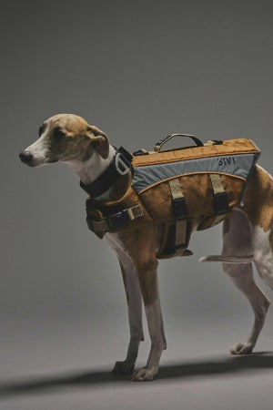 Lサイズ着用： ウィペット 体重12.5kg・首囲33.5cm・胸囲56cm・背丈54cm