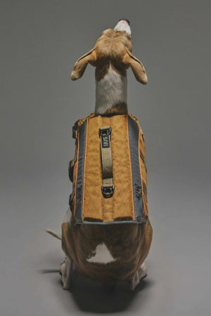 Lサイズ着用： ウィペット 体重12.5kg・首囲33.5cm・胸囲56cm・背丈54cm