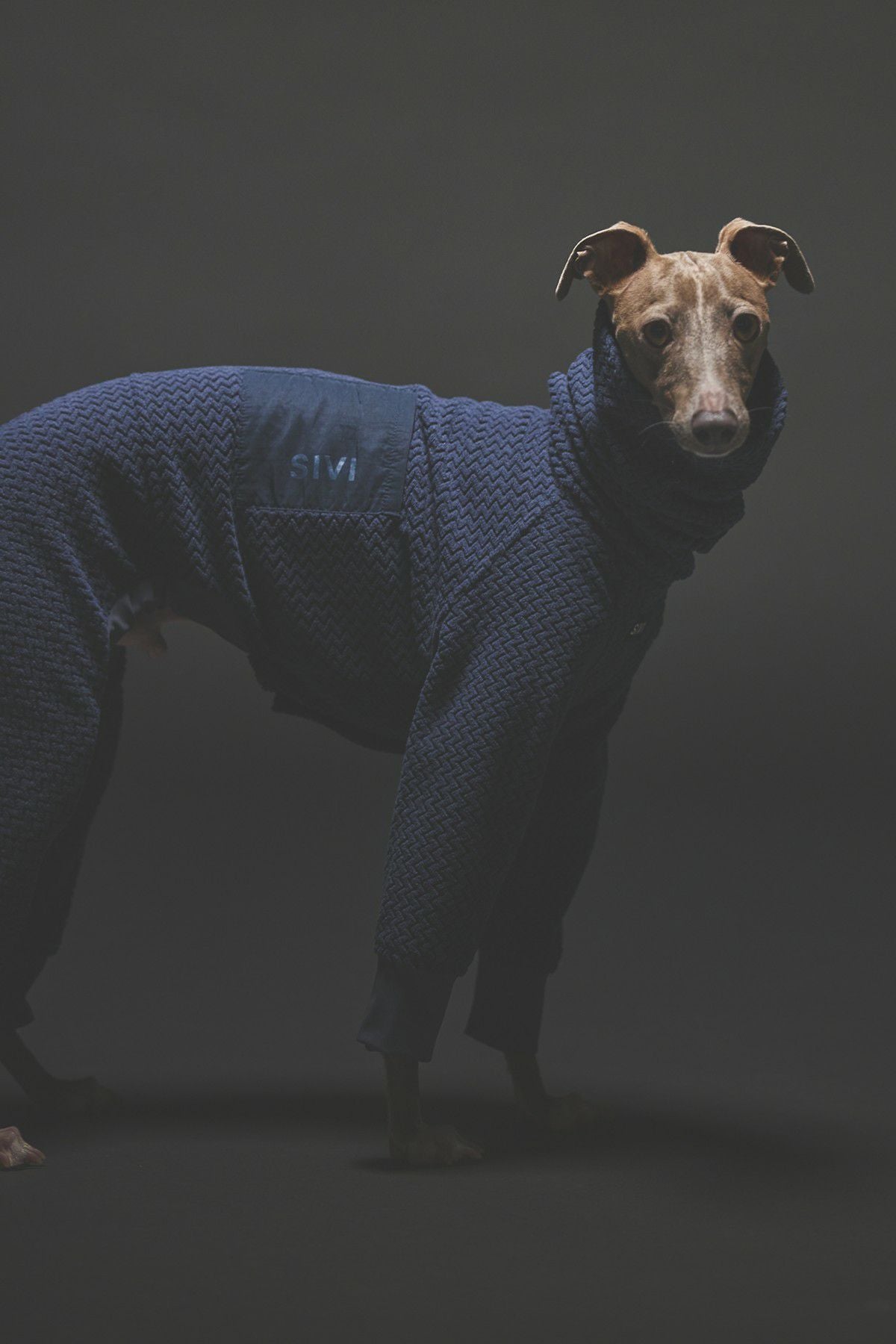 SIVI ブラック フリース犬服 フード付き SIVI テクニカルフリースカバーオール | SIVI｜イタグレ 服