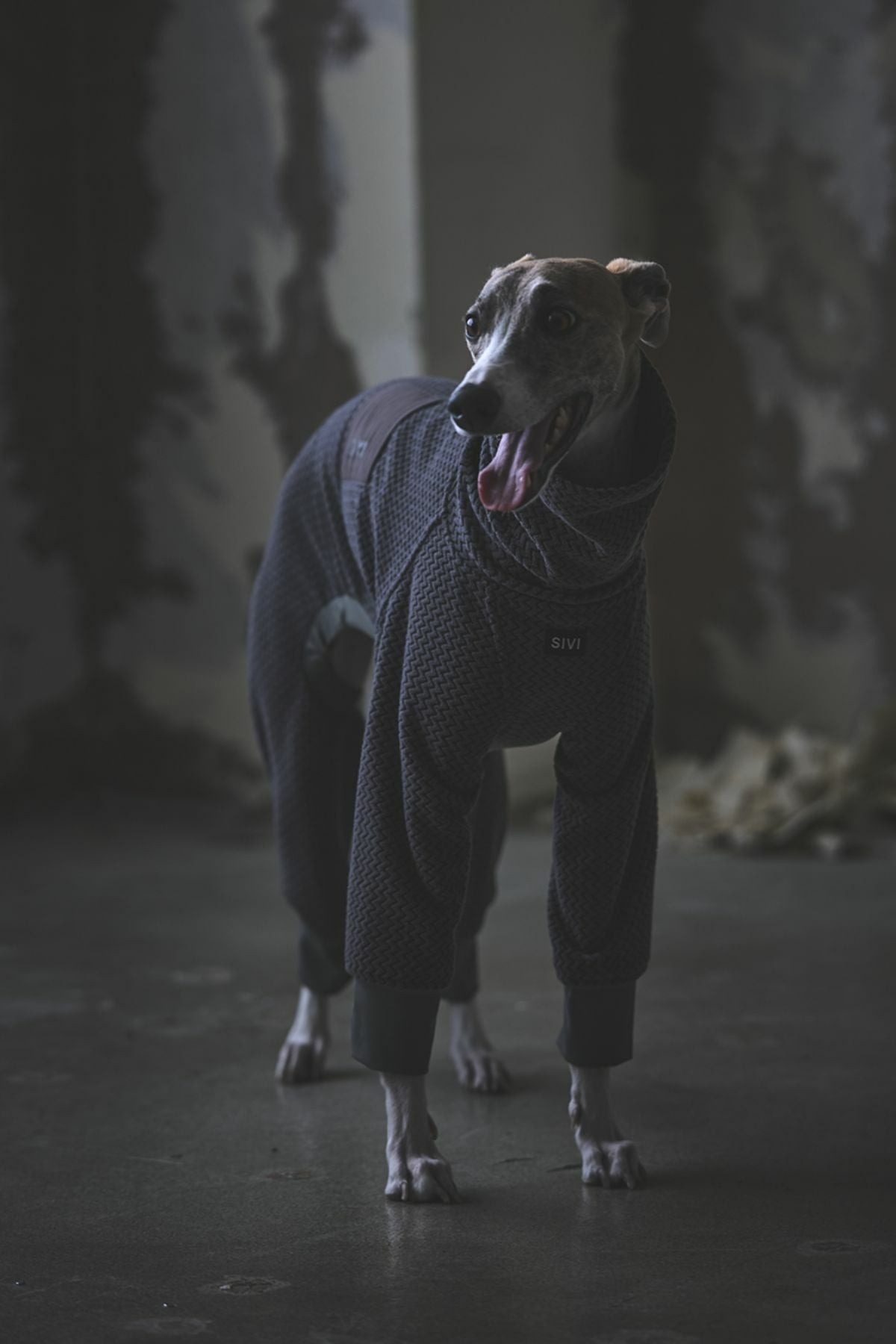 SIVI ブラック フリース犬服 フード付き SIVI テクニカルフリースカバーオール | SIVI｜イタグレ 服
