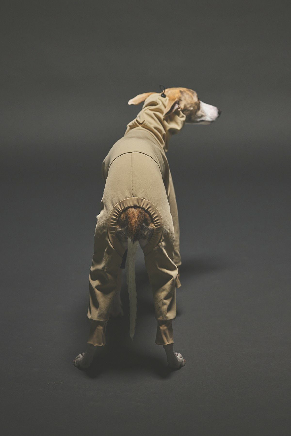 SIVI ウィンタースーツLサイズ ベージュ イタグレ・ウィペット向けドッグウェアブランドSIVI、「ウィンター