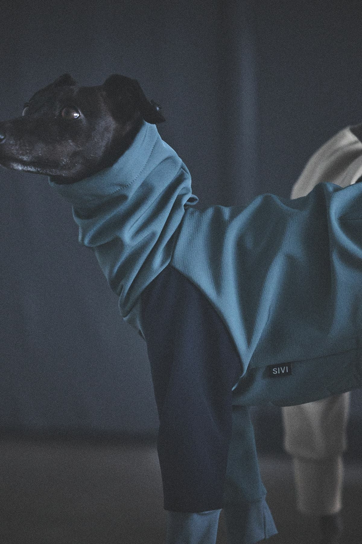 SIVI ブラック フリース犬服 フード付き SIVI SOFTSHEL 3Layer長袖フーディ | SIVI｜イタグレ 服・ウィペット