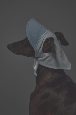 Sサイズ着用： イタリアングレーハウンド 体重5.2kg・首囲22cm・胸囲44cm・背丈37cm