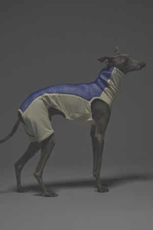 Mサイズ着用： イタリアングレーハウンド 体重6.24kg・首囲24cm・胸囲43cm・背丈39cm