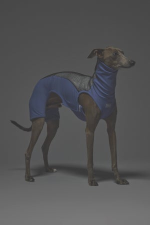 Mサイズ着用： イタリアングレーハウンド 体重7.2kg・首囲25.5cm・胸囲44.8cm・背丈41cm