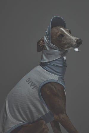 Sサイズ着用： イタリアングレーハウンド 体重5.5kg・首囲25cm・胸囲46cm・背丈38cm